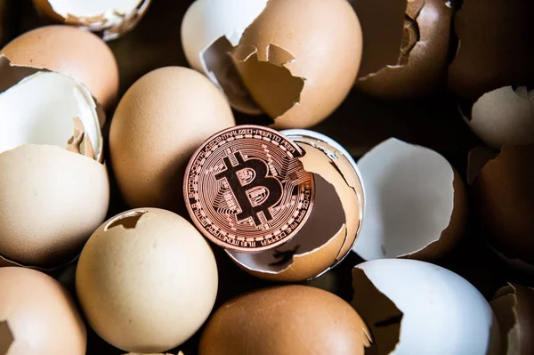 Kırık yumurta kabuğunda altın bitcoin