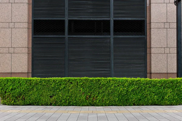 Straßenmauer Hintergrund Industrieller Hintergrund Leere Grunge Urbane Straße Mit Lagerhaus — Stockfoto