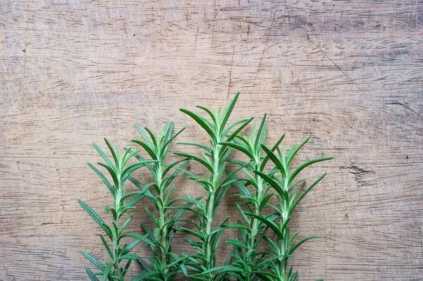 Rosmarinpflanze Auf Rustikalem Holztisch Von Oben Frische Bio Kräuter Mit — Stockfoto