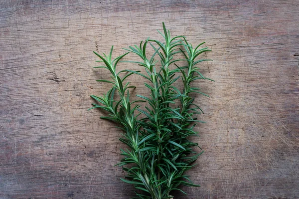 Plante Romarin Sur Table Rustique Bois Haut Herbes Biologiques Fraîches — Photo