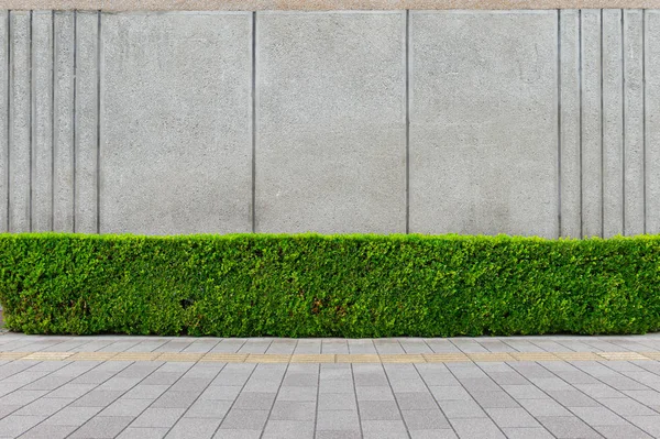 Fond de mur de rue, arrière-plan industriel, vide grunge urba — Photo