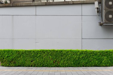 sokak duvar arka plan, endüstriyel arka plan, boş grunge urba