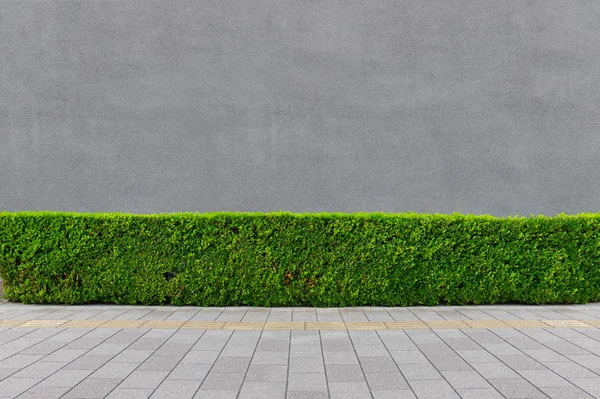 Fondo de la pared de la calle, fondo industrial, urba grunge vacío — Foto de Stock