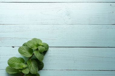 Taze hasat vahşi Mentha aquatica veya su nane o paket