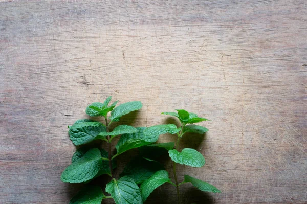 Mint sprigs on a wooden table. Aromatic mint on a wooden backgro — Stock Photo, Image