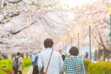 Hanami 'nin sakura bahçesindeki bulanık fotoğrafı. Bahar sezonunda popüler Sakura matsuri festivali. Japonya 'daki insanlar genelde parka gidip çiçek açan kiraz çiçeklerinin tadını çıkarırlar.
