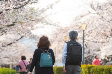Hanami 'nin sakura bahçesindeki bulanık fotoğrafı. Bahar sezonunda popüler Sakura matsuri festivali. Japonya 'daki insanlar genelde parka gidip çiçek açan kiraz çiçeklerinin tadını çıkarırlar.