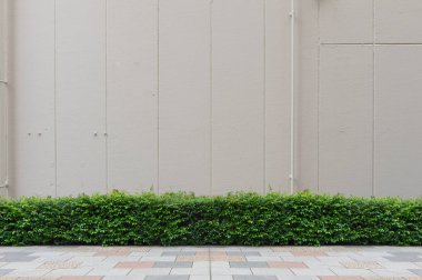 sokak duvar arka plan, endüstriyel arka plan, boş grunge urba