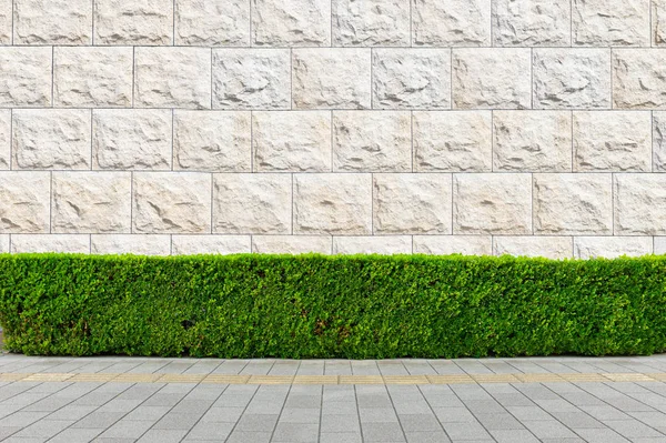 Straßenmauer Hintergrund Industrieller Hintergrund Leere Grunge Urbane Straße Mit Lagerhaus — Stockfoto