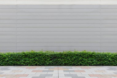 sokak duvar arka plan, endüstriyel arka plan, boş grunge urba