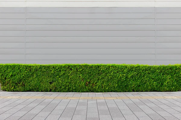 Fondo de la pared de la calle, fondo industrial, urba grunge vacío — Foto de Stock