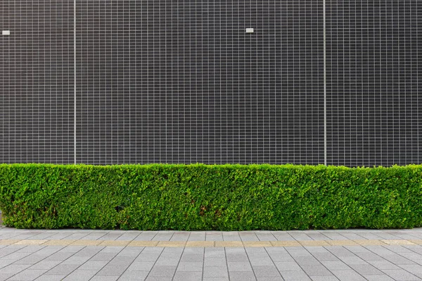 Street Wall Background Industrial Background Empty Grunge Urban Street Warehouse — Stock Photo, Image