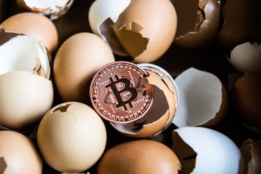 Kırık yumurta kabuğunda altın bitcoin