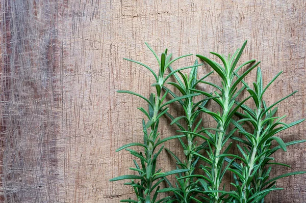 Planta Romero Sobre Mesa Rústica Madera Arriba Hierbas Orgánicas Frescas — Foto de Stock