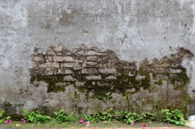 Boş Eski Tuğla Duvar dokusu. Boyanmış Duvar Yüzeyi. Grungy Wide Brickwall 'da. Grunge Red Stonewall arka planı. Zarar görmüş alçılı eski püskü bina cephesi. Soyut Web Afişi. Boşluğu Kopyala.