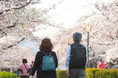 Hanami 'nin sakura bahçesindeki bulanık fotoğrafı. Bahar sezonunda popüler Sakura matsuri festivali. Japonya 'daki insanlar genelde parka gidip çiçek açan kiraz çiçeklerinin tadını çıkarırlar.