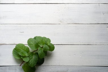 Yeni hasat edilmiş vahşi Mentha Aquatica veya eski meşe ağacının ahşap yüzeyinde fotokopi alanı olan nane şekeri.