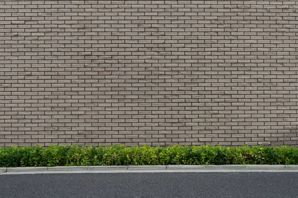 Street Wall Background Industrial Background Empty Grunge Urban Street Warehouse — Stock Photo, Image