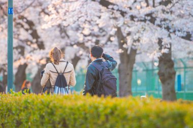 Hanami 'nin sakura bahçesindeki bulanık fotoğrafı. Bahar sezonunda popüler Sakura matsuri festivali. Japonya 'daki insanlar genelde parka gidip çiçek açan kiraz çiçeklerinin tadını çıkarırlar.