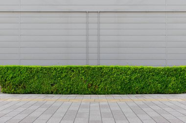 Sokak duvarı arka planı, endüstriyel arka plan, depo tuğla duvarlı boş Grunge şehir sokağı