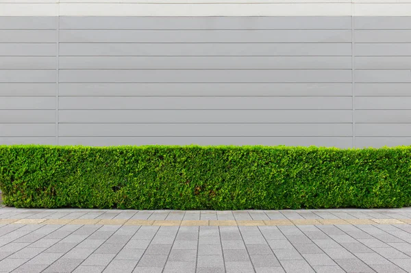 Street Wall Background Industrial Background Empty Grunge Urban Street Warehouse — Stock Photo, Image