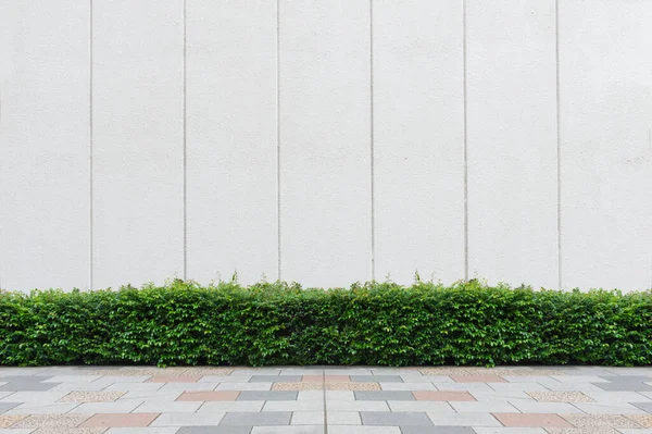 Street Wall Background Industrial Background Empty Grunge Urban Street Warehouse — Stock Photo, Image