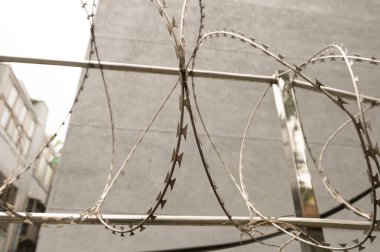 Beton duvar, dikenli tellerin arka planına karşı, hapishane konsepti, kurtuluş, mülteci, yalnızlık, yazı için yer
