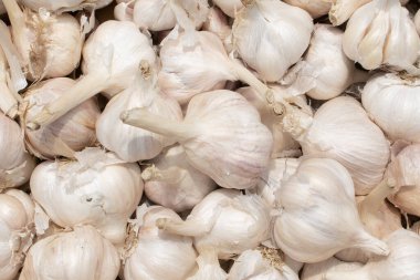 Beyaz sarımsak deseni, market masasında taze sarımsak, yakın plan fotoğraf. Beyaz sarımsak kafalar. Beyaz sarımsak kafa üst görünüm