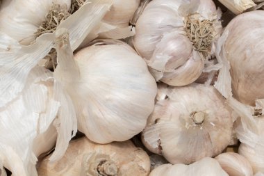 Beyaz sarımsak deseni, market masasında taze sarımsak, yakın plan fotoğraf. Beyaz sarımsak kafalar. Beyaz sarımsak kafa üst görünüm