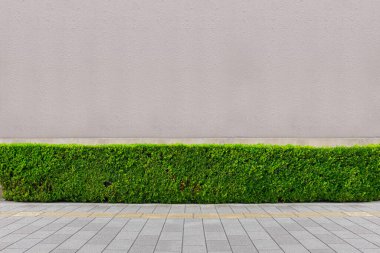 Sokak duvarı arka planı, endüstriyel arka plan, depo tuğla duvarlı boş Grunge şehir sokağı