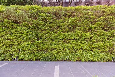 Sokak duvarı arka planı, endüstriyel arka plan, depo tuğla duvarlı boş Grunge şehir sokağı