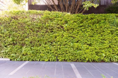 Sokak duvarı arka planı, endüstriyel arka plan, depo tuğla duvarlı boş Grunge şehir sokağı