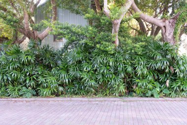 Sokak duvarı arka planı, endüstriyel arka plan, depo tuğla duvarlı boş Grunge şehir sokağı