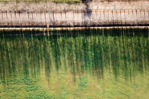 Aerial Tree Shadows — Stock Photo, Image