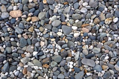 bir plajda desenli çakıl taşları