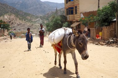 Alitena, Etiyopya - 4 Haziran 2019 : Eşekler gelişmekte olan birçok ülkede günlük ulaşım için hala kullanılmaktadır.