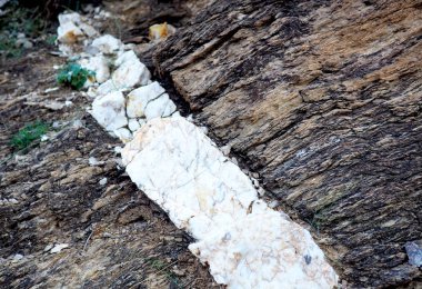 Tortul kumtaşı kayasında kuvars dimi