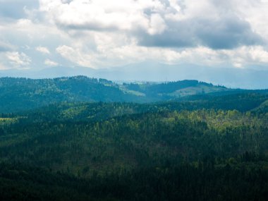 Bir sis bir yükseklikten dağlarda yaz