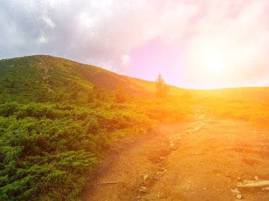 Yaz dağ manzaraları. Yeşil çayırlar. Yüksek tepeler... Günbatımı