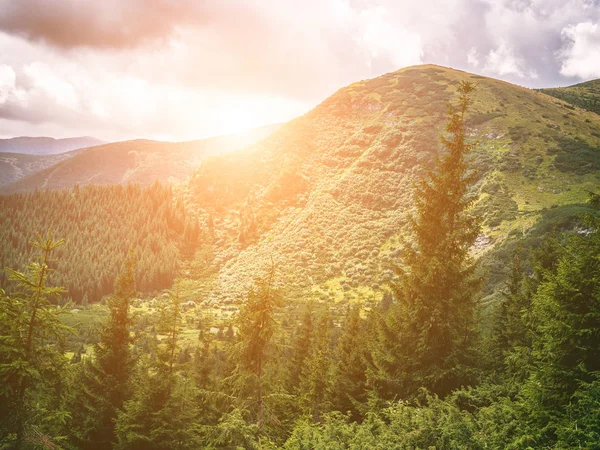 アスファルトの道路の背景に山の風景 — ストック写真