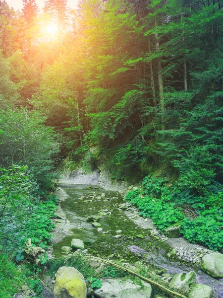 夏の山の風景 緑の牧草地 高い丘 — ストック写真