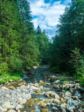 Gündüz, yaz aylarında nehir dağ 