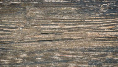 Eski püskü ahşap doku çok renkli kat boya ile. Yakın çekim. Eski arka plan