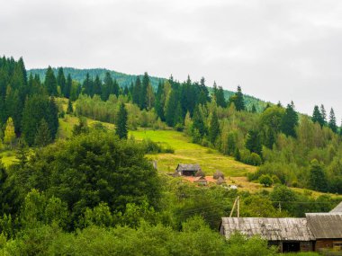 Yaz dağ manzaraları. Yeşil çayırlar. Yüksek tepeler.