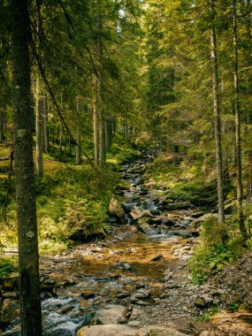 Mavi su ile dağ şelale. Yaz arka plan