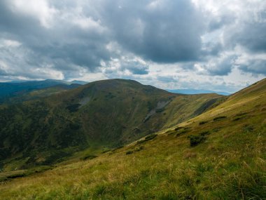 Yaz dağ manzaraları. Yeşil çayırlar. Yüksek tepeler.