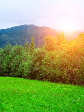 Yaz dağ manzaraları. Yeşil çayırlar. Yüksek tepeler.