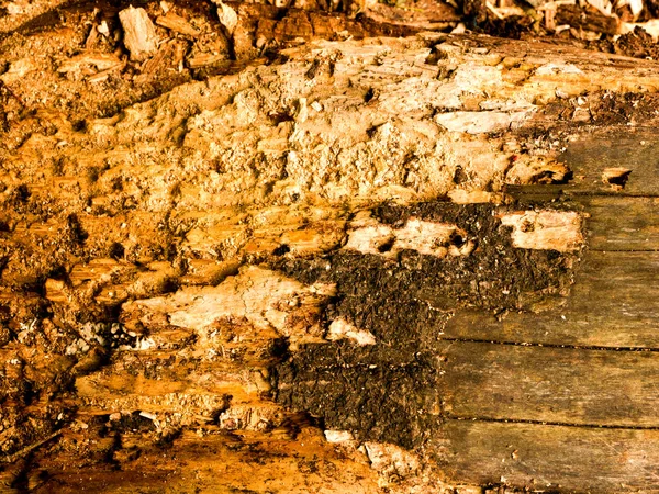 Textura Tablas Grises Con Madera Vieja Contexto —  Fotos de Stock