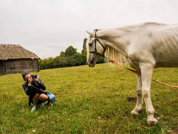 Женщина Фотограф Фотографирует Белого Коня Зеленом Лугу Сельской Местности — стоковое фото