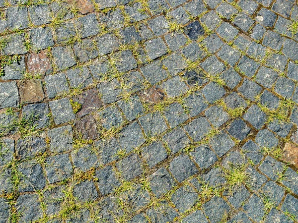 Texture Della Pavimentazione Urbana Pietra Con Erba Verde Fondo Pavimento — Foto Stock